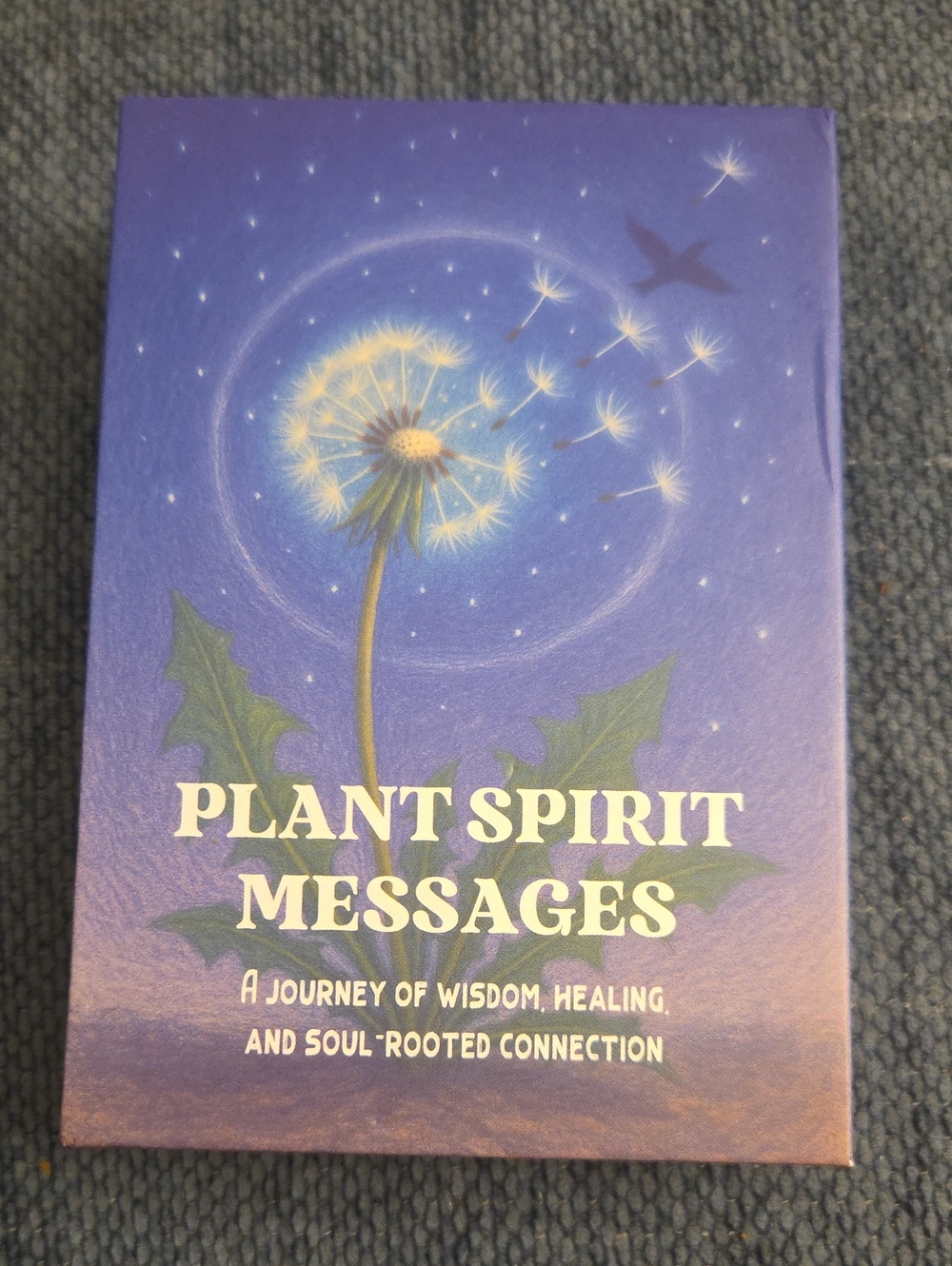 Plant Spirit Messages Wall Art Print in Purple